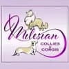 The Clan of Milesian  profile