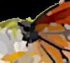 Tierhilfe Lahn-Ohm Kirchhain-Vogelsberg u.U. e.V. Logo