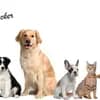 Tierschutzverein Hersbruck u.U. 'tierisch in action' e.V. Logo