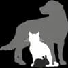 Tierauffangstation Schwabach Logo