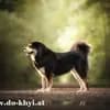 Kalyani´s profile