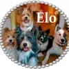Elo® von Werths Echte  profile
