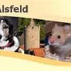 Tierheim Alsfeld