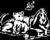 Tierheim Weißenhorn Logo