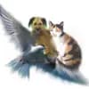 Tierschutzverein Seligenstadt u.U. e.V. Logo