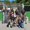 Tierheim Freilassing