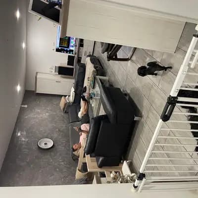 Bild aus Maltiboo vom Niederrhein  in Nordrhein-Westfalen, wo unsere Bolonka Zwetna (Nationale Rasse)-Hunde in einer liebevollen Umgebung aufwachsen.
