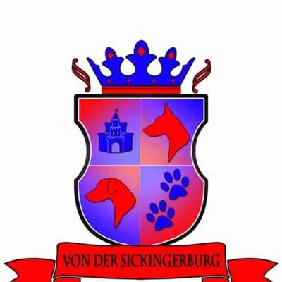 Rici