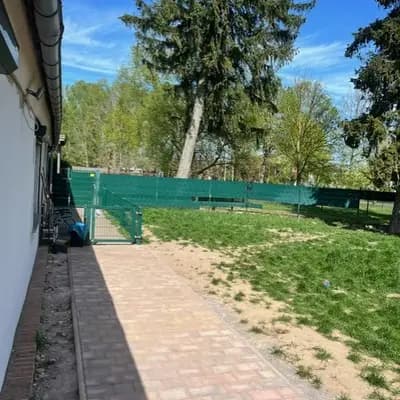 Bild aus Hundezucht vd Schönefelder Höhe in Brandenburg, wo unsere English Cocker Spaniel-Hunde in einer liebevollen Umgebung aufwachsen.