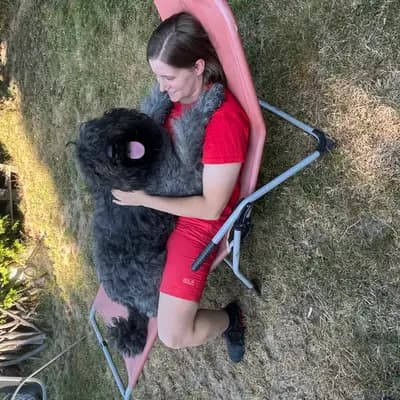 Bild aus Bouviers des Flandres vom Spicher Wäldchen in Nordrhein-Westfalen, wo unsere Bouvier des Flandres-Hunde in einer liebevollen Umgebung aufwachsen.
