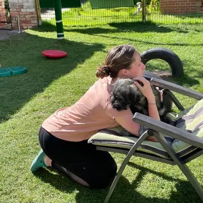 Galerie-Bild von Hundezucht von den Kalkseehexen in Brandenburg, mit Eindrücken unserer Schnauzer-Zucht.