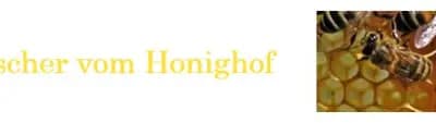Cini vom Honighof – Zwergpinscher Welpe, Baden-Württemberg, 由...饲养 Zwergpinscher vom Honighof 