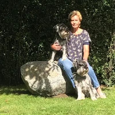 Galerie-Bild von Hundezucht von den Kalkseehexen in Brandenburg, mit Eindrücken unserer Schnauzer-Zucht.