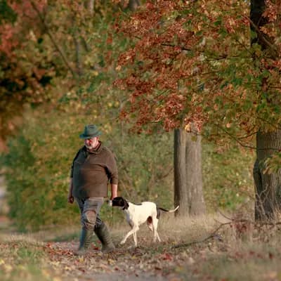 Galerie-Bild von Zwinger von den Dachsfichten in Brandenburg, mit Eindrücken unserer English Pointer-Zucht.