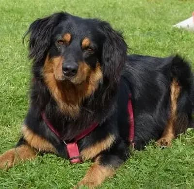 Sam