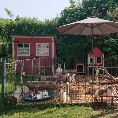 Galerie-Bild von Elo® von Werths Echte  in Bayern, mit Eindrücken unserer Elo-Zucht.