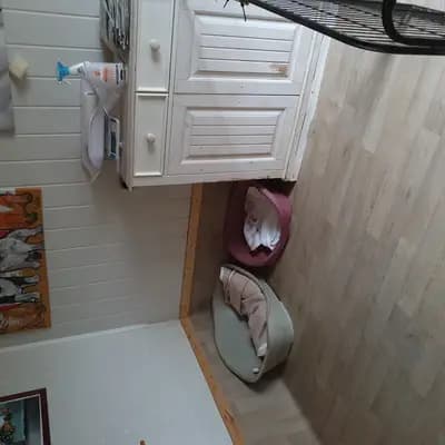 Bild aus Rotellini's  in Niedersachsen, wo unsere Mops-Hunde in einer liebevollen Umgebung aufwachsen.