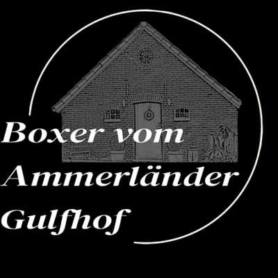 Bella – Deutscher Boxer Welpe, Niedersachsen, 由...饲养 vom Ammerländer Gulfhof 