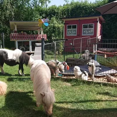 Galerie-Bild von Elo® von Werths Echte  in Bayern, mit Eindrücken unserer Elo-Zucht.