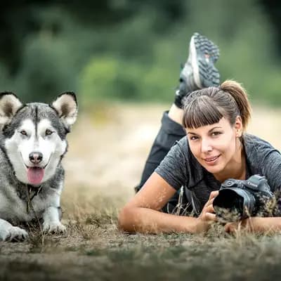 Galerie-Bild von Siberian Husky aus Arbeitslinien in Brandenburg, mit Eindrücken unserer Siberian Husky-Zucht.