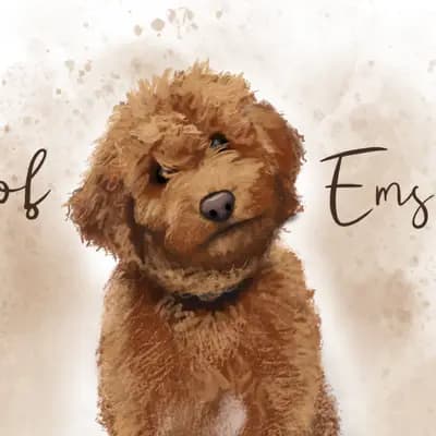 Galerie-Bild von Dogs of Ems Island in Niedersachsen, mit Eindrücken unserer Goldendoodle-Zucht.