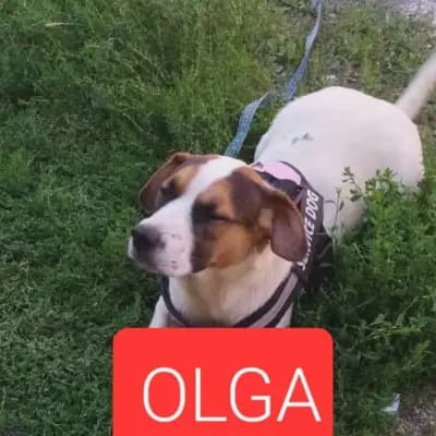 Olga