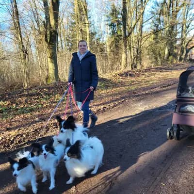 Galerie-Bild von Papillons von der Flussaue  in Niedersachsen, mit Eindrücken unserer Kontinentaler Zwergspaniel (Papillon)-Zucht.