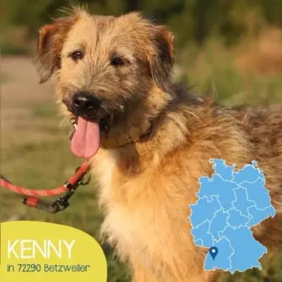 Kenny