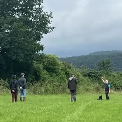 Wasca vom Weiltal – Rottweiler Welpe, Hessen, 由...饲养 Rottweilerzwinger vom Weiltal 