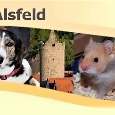 Tierheim Alsfeld