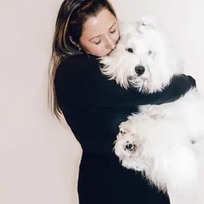 Galerie-Bild von from CotonOfHappyness  in Nordrhein-Westfalen, mit Eindrücken unserer Coton de Tulear-Zucht.