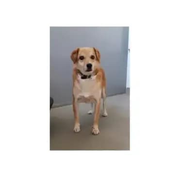 Peeta