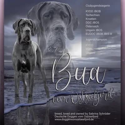 Bubi