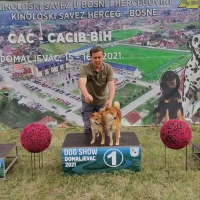 Galerie-Bild von LENA OD MURE in Gespanschaft Međimurje, mit Eindrücken unserer Shikoku-Zucht.