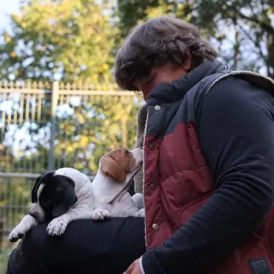 Galerie-Bild von Zwinger von den Dachsfichten in Brandenburg, mit Eindrücken unserer English Pointer-Zucht.