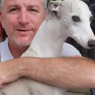 Bild aus Whippets of Poet‘s Corner  in Baden-Württemberg, wo unsere Whippet-Hunde in einer liebevollen Umgebung aufwachsen.