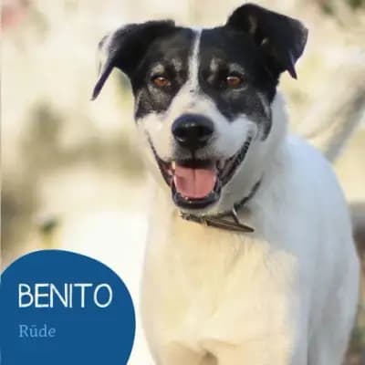 Benito