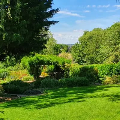 Bild aus Von der Villa Waldorf in Nordrhein-Westfalen, wo unsere Bolonka Zwetna (Nationale Rasse)-Hunde in einer liebevollen Umgebung aufwachsen.