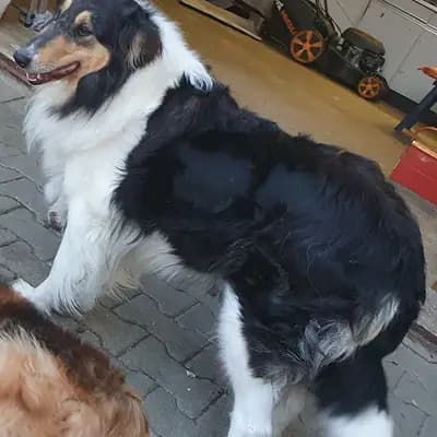 Fiona
