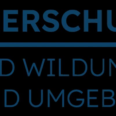 Tierheim Bad Wildungen