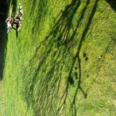 Bild aus Niemandsländer in Baden-Württemberg, wo unsere Niemandsländer-Hunde in einer liebevollen Umgebung aufwachsen.