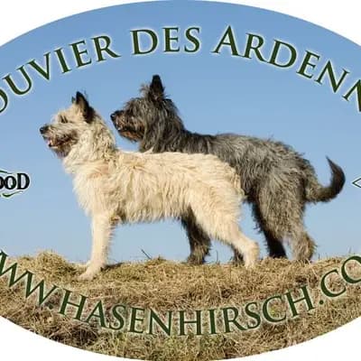 Galerie-Bild von Bouvier des Ardennes Zuchtstätte Hasenhirsch in Bayern, mit Eindrücken unserer Bouvier des Ardennes-Zucht.