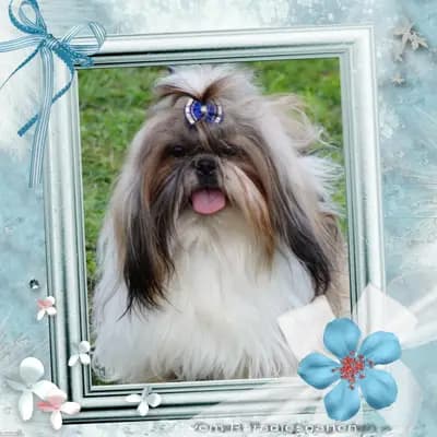 Bettina