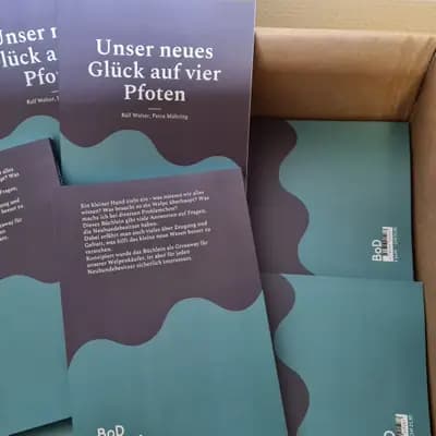 Galerie-Bild von Hundezucht vom Bagno in Nordrhein-Westfalen, mit Eindrücken unserer Prager Rattler-Zucht.