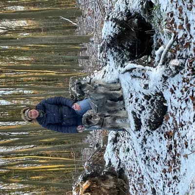 Galerie-Bild von Hundezucht von den Kalkseehexen in Brandenburg, mit Eindrücken unserer Schnauzer-Zucht.