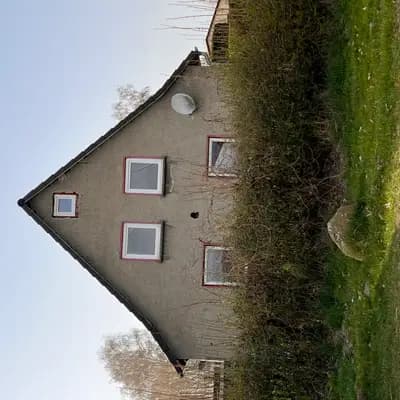 Bild aus Airedaleterrierof Ravenclaw  in Mecklenburg-Vorpommern, wo unsere Großpudel (Königspudel)-Hunde in einer liebevollen Umgebung aufwachsen.
