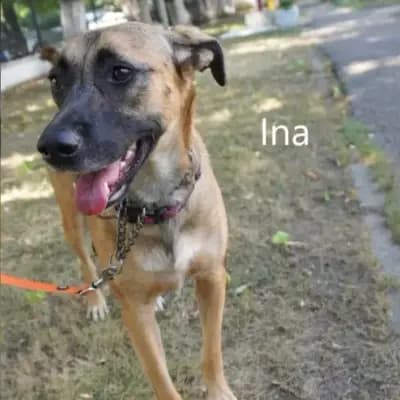 Ina