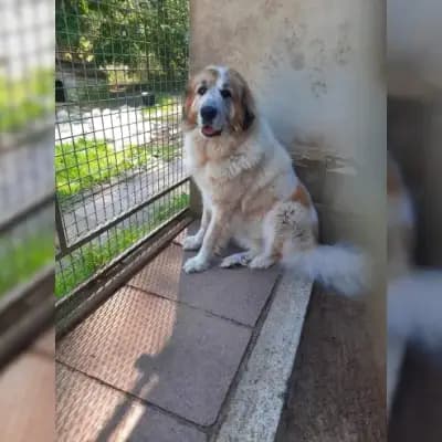 Hera