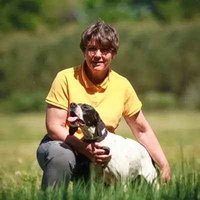 Galerie-Bild von Zwinger von den Dachsfichten in Brandenburg, mit Eindrücken unserer English Pointer-Zucht.