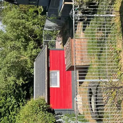 Bild aus Hovawarte von Doberow  in Brandenburg, wo unsere Hovawart-Hunde in einer liebevollen Umgebung aufwachsen.